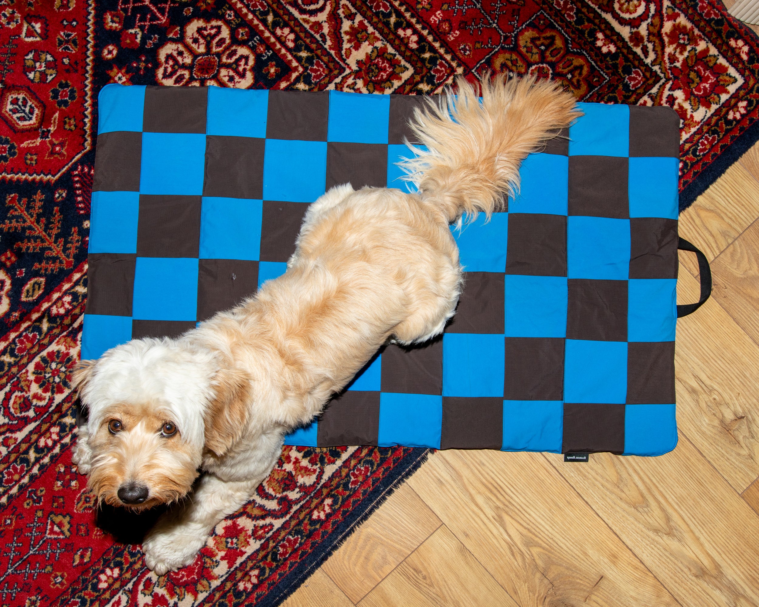 Dog Beds Greater Goods Online